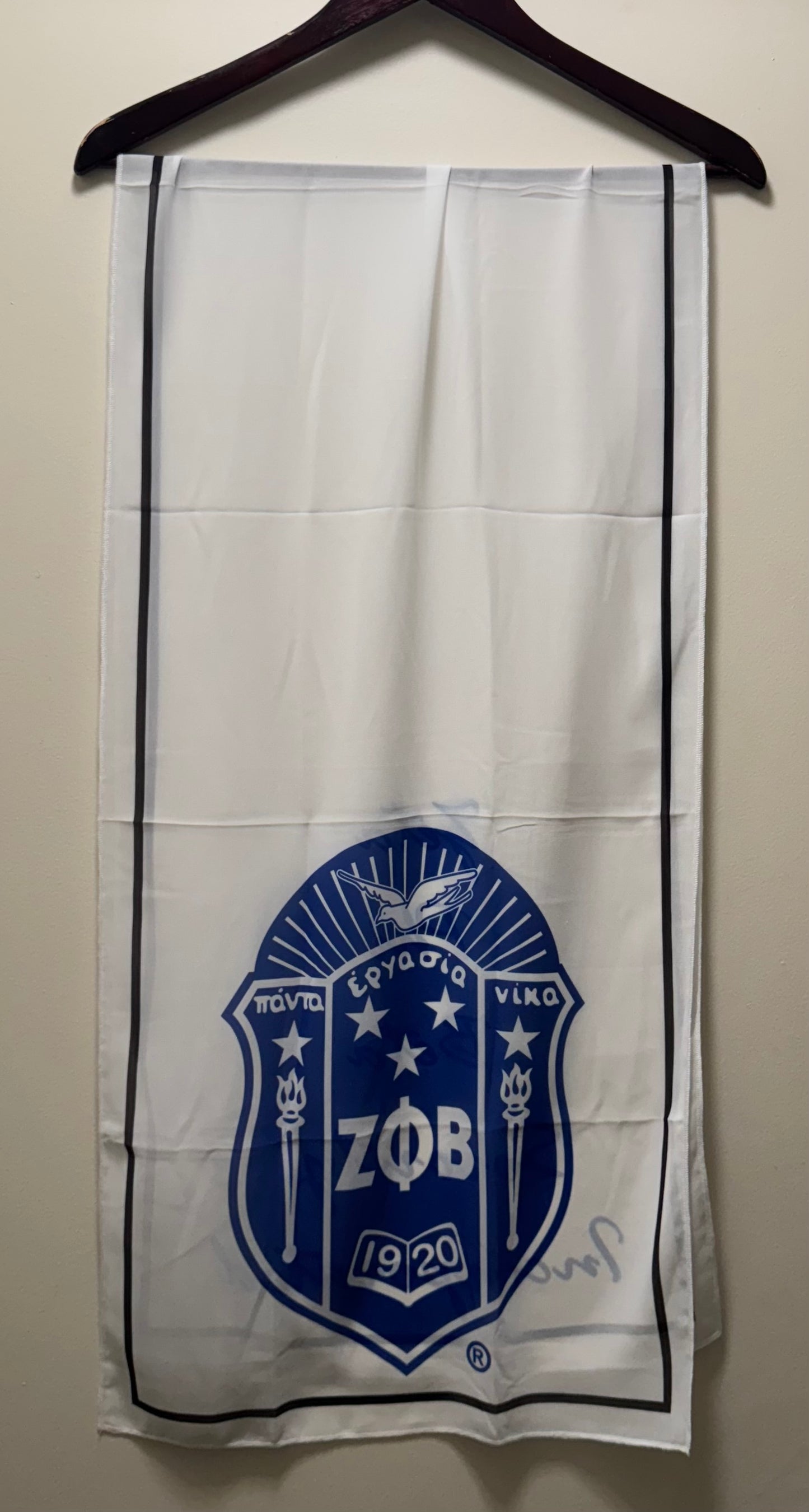 Chiffon Scarf