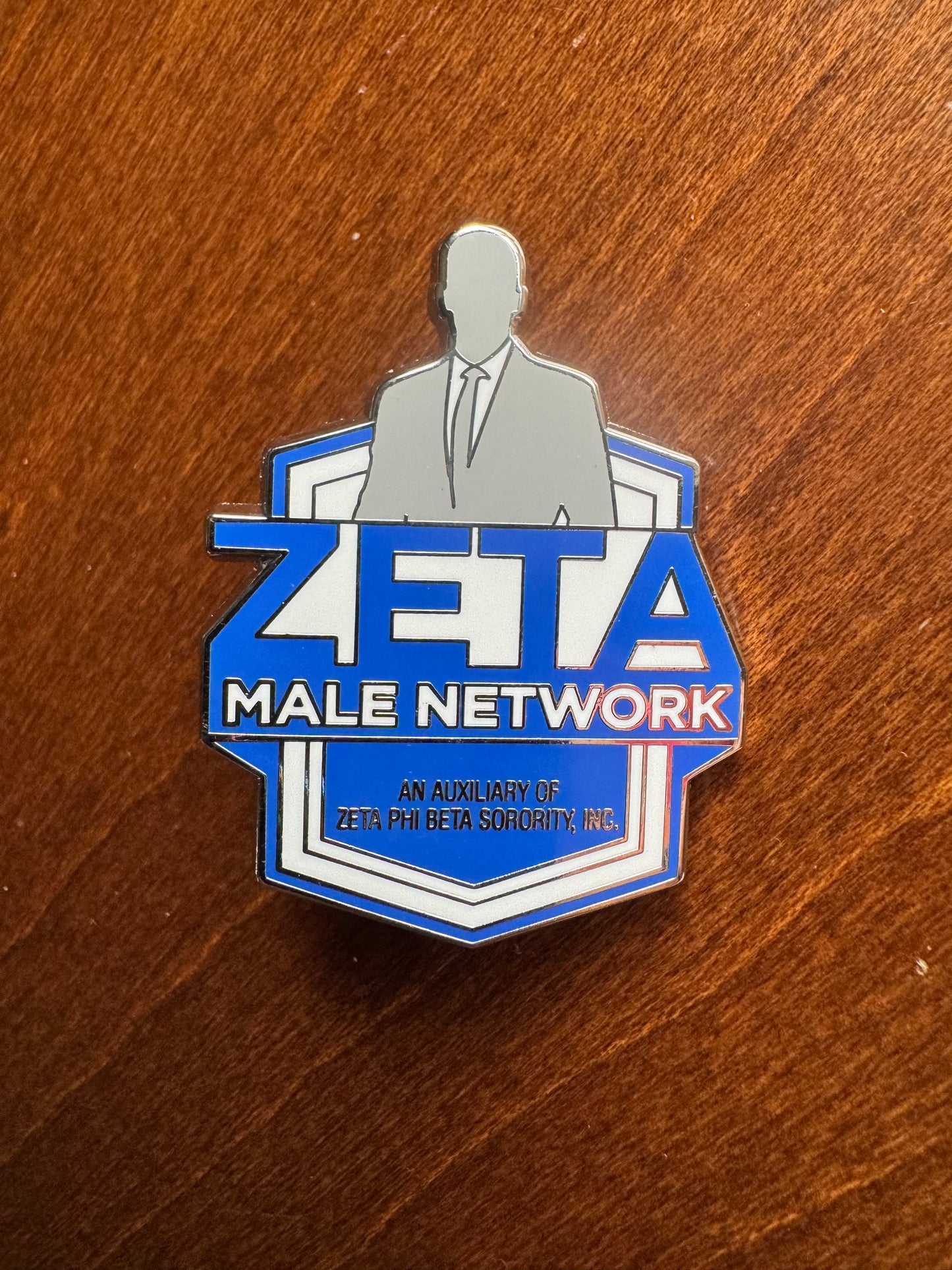 Zeta Male Network Lapel Pin