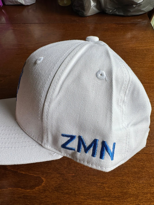 Zeta Male Network Baseball Cap