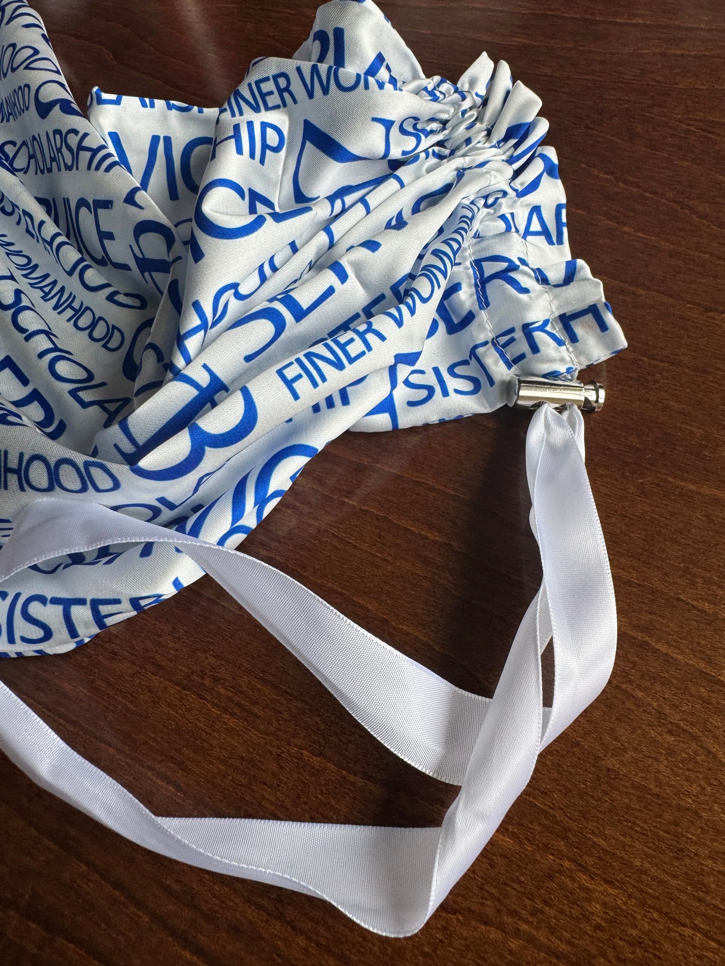 Satin Shoe Bag