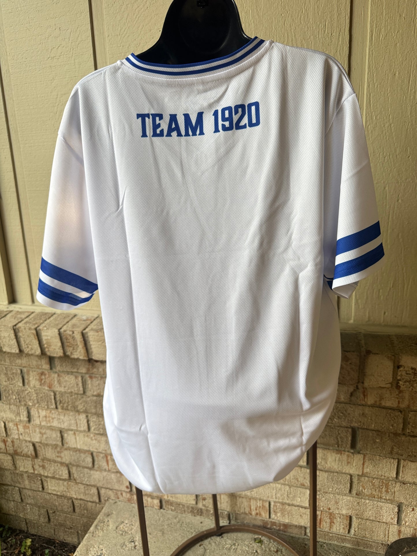 Zeta Veteran Jersey