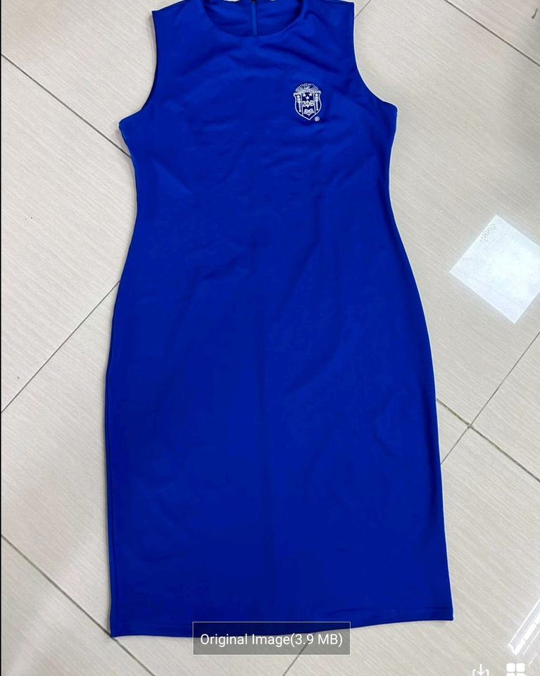 Finer SHIELD Sheath Dress