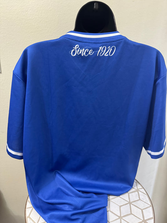 Zeta UNDERGRADUATE ADVISOR Jersey