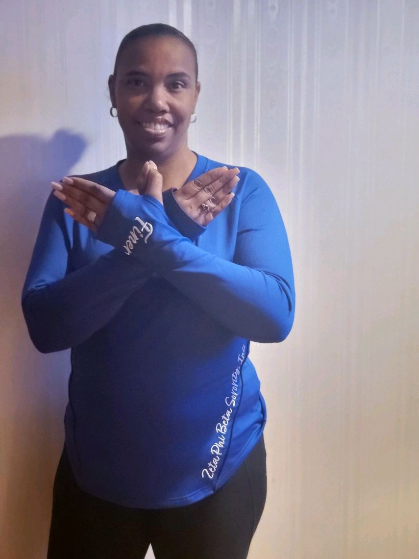 V-neck Heavyweight Zeta Pullover
