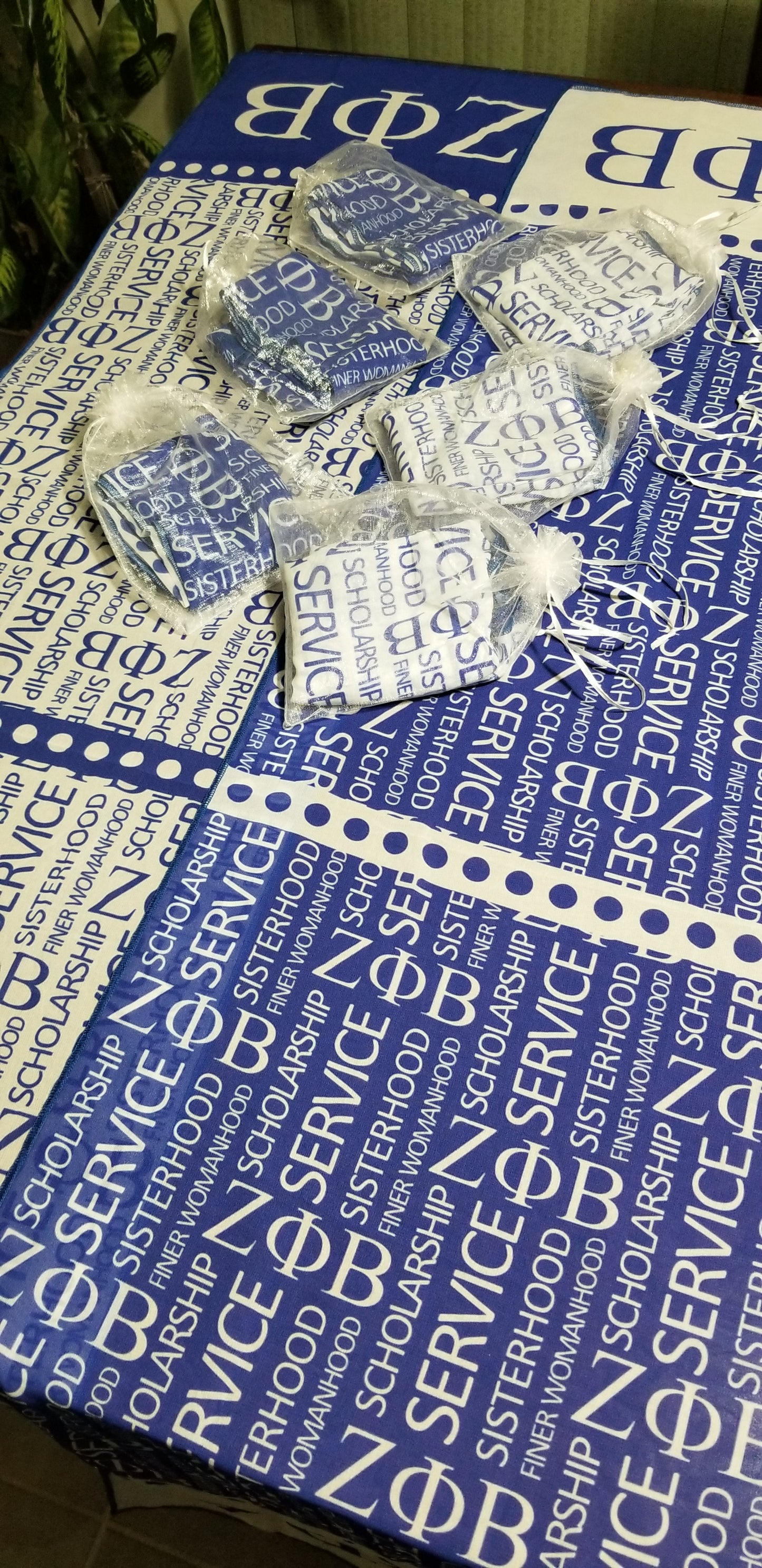 Principles Chiffon Scarf