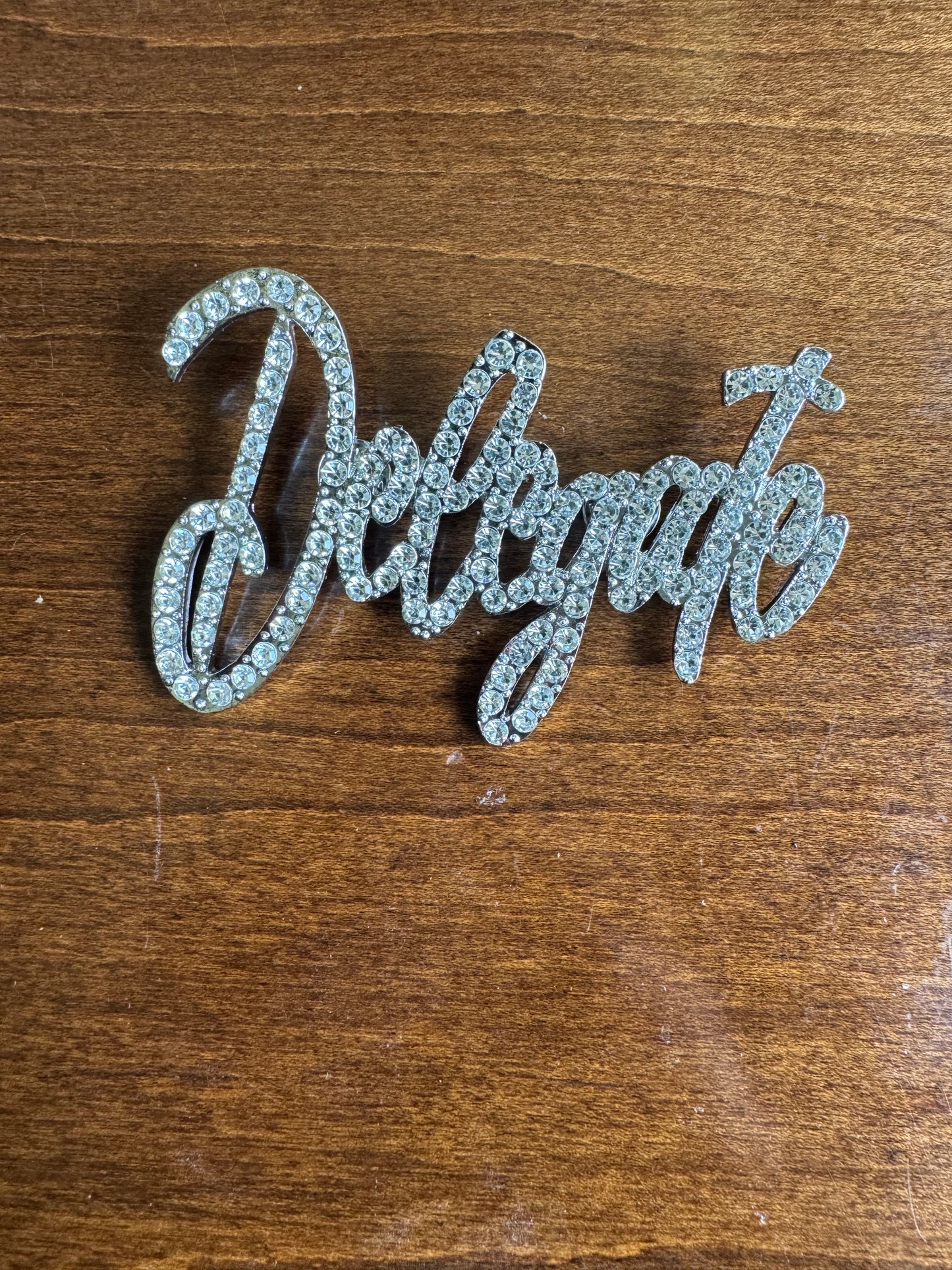 DELEGATE Cursive Lapel Pin