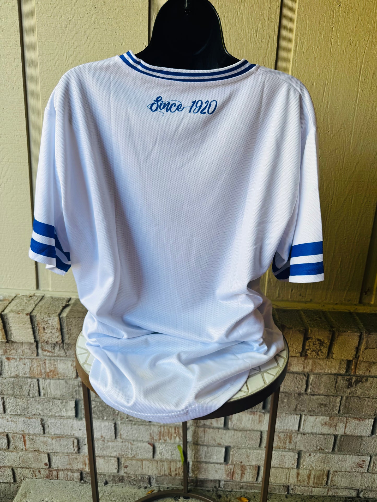 Zeta SHIELD Jersey