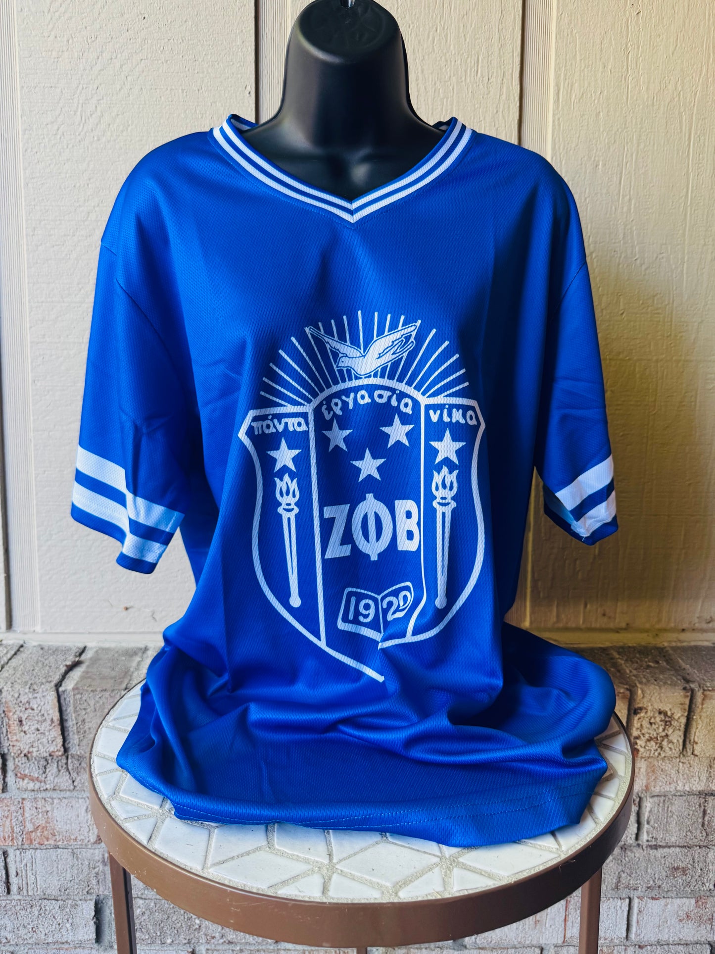 Zeta SHIELD Jersey