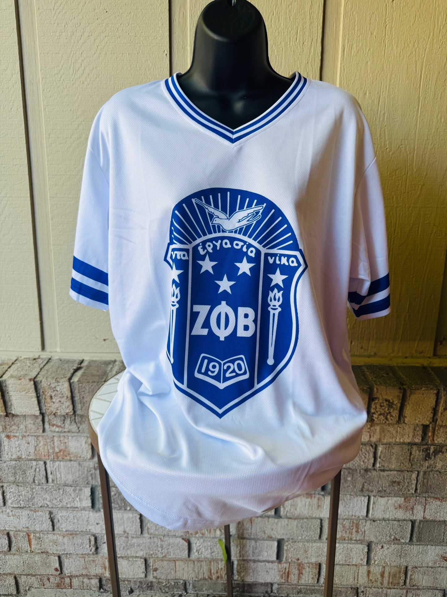 Zeta SHIELD Jersey