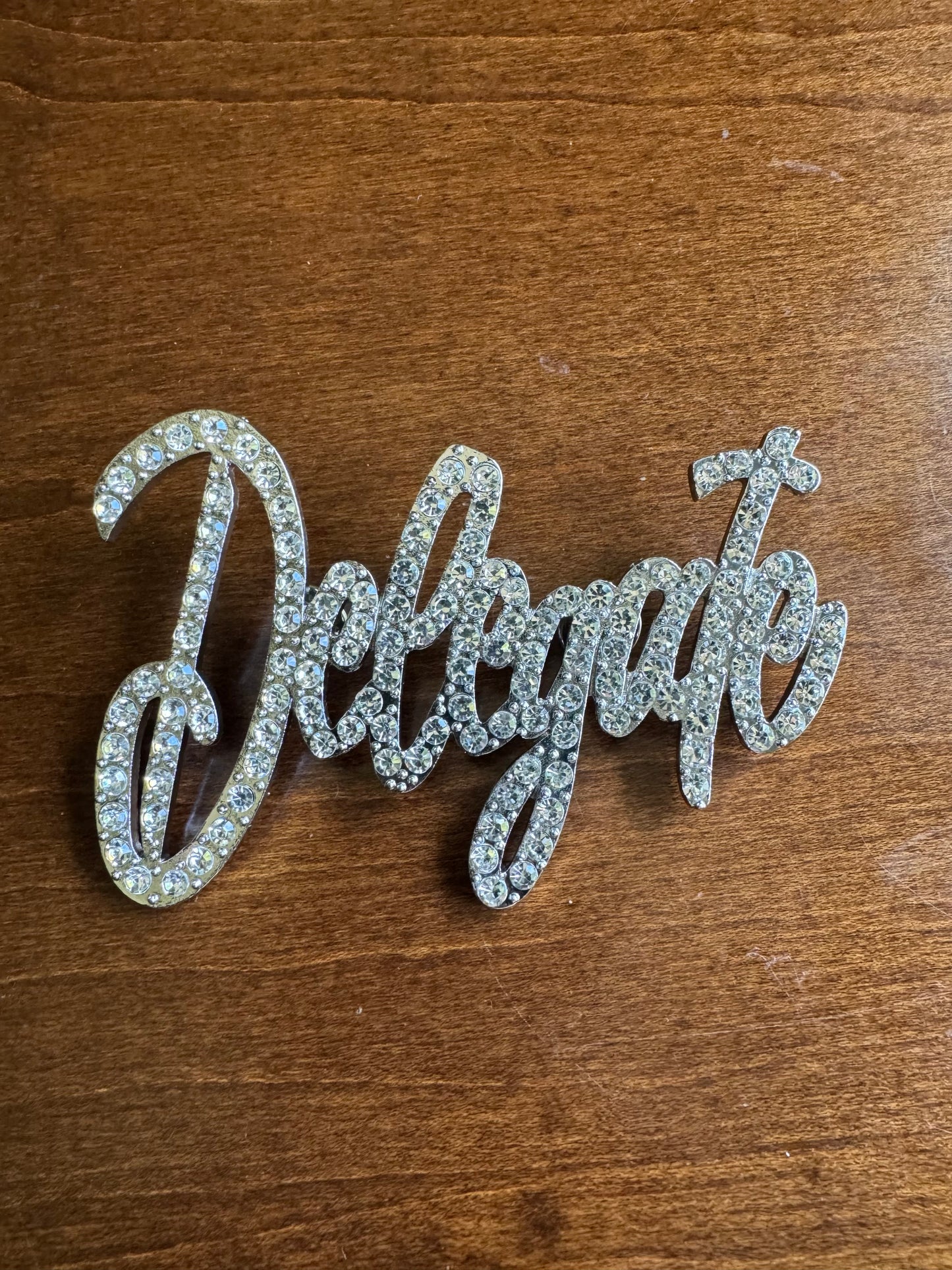 DELEGATE Cursive Lapel Pin