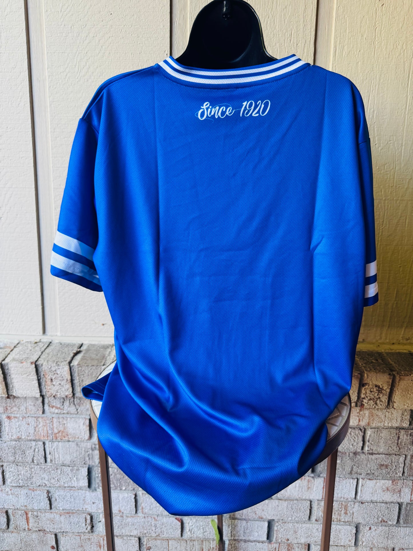 Zeta SHIELD Jersey