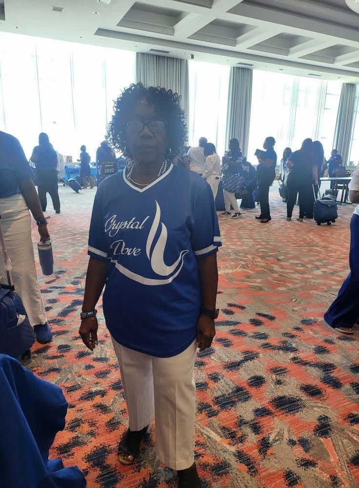 Zeta CRYSTAL DOVE Jersey