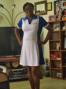 Golf/Tennis Dress with matching shorts